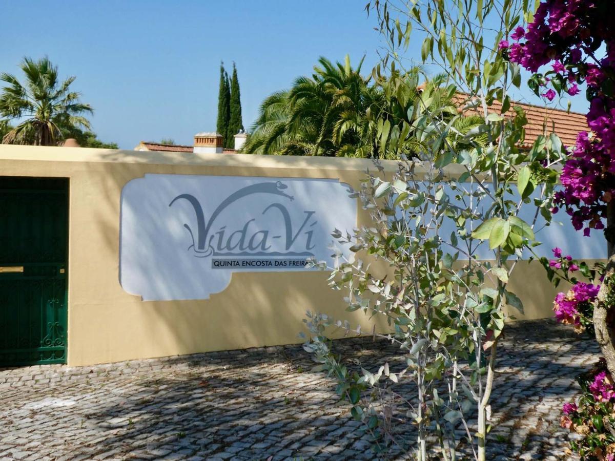 Vida-Vi, Country House And B&B Carvalhal Bemfeito Экстерьер фото